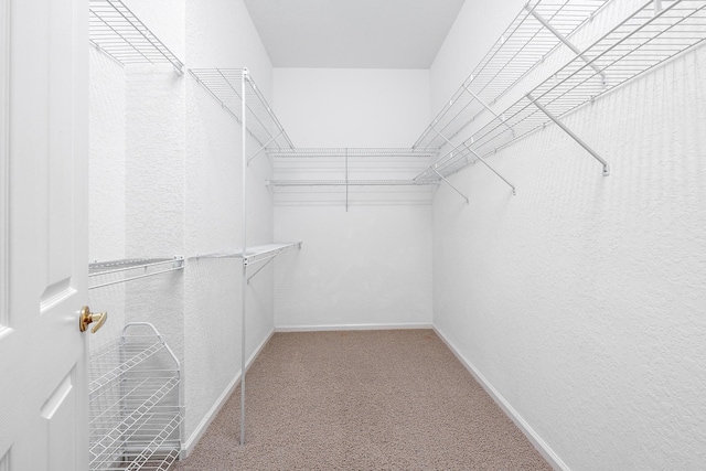 walk in closet featuring carpet floors