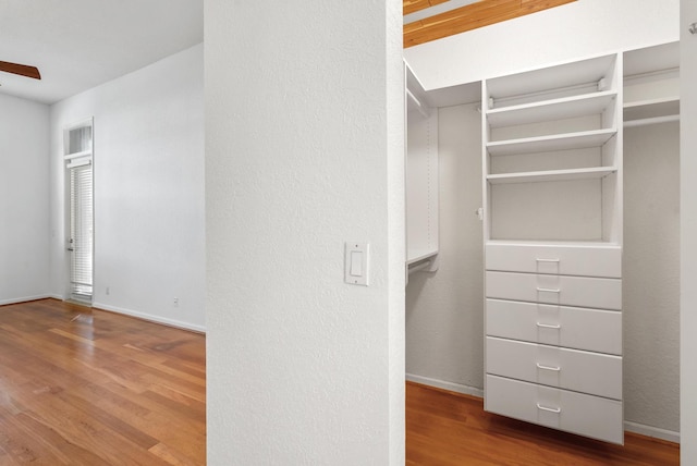 spacious closet featuring hardwood / wood-style floors