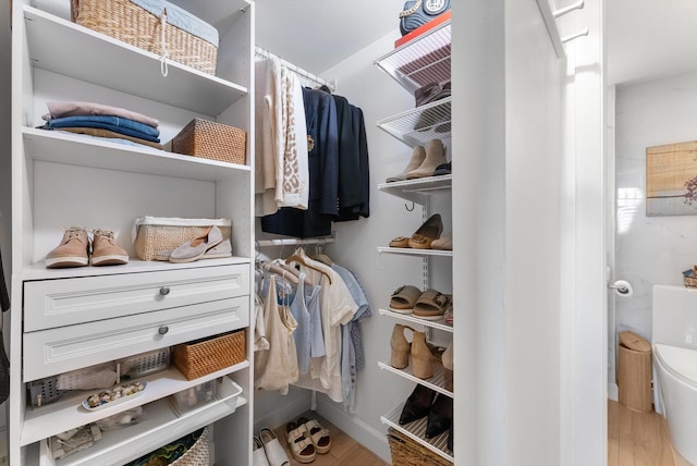 spacious closet featuring light hardwood / wood-style floors