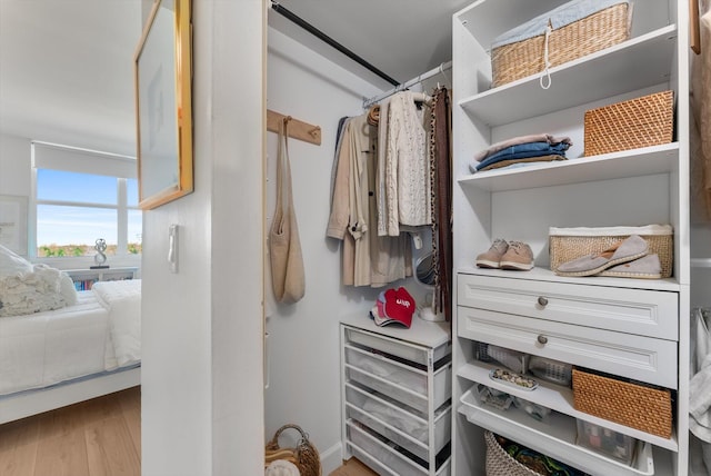 spacious closet with light hardwood / wood-style floors