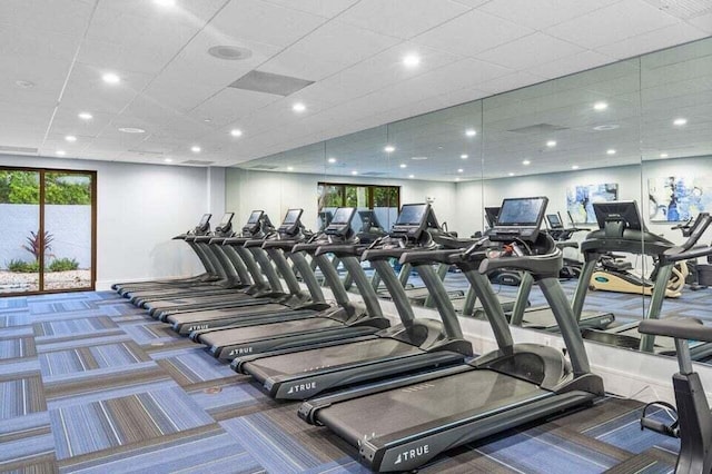 gym featuring a drop ceiling and carpet floors