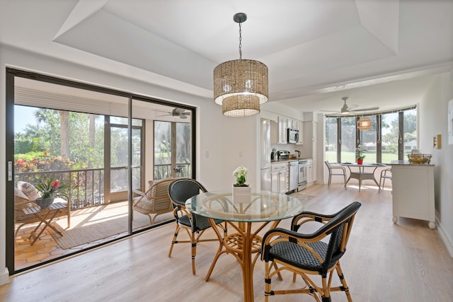 dining space with a tray ceiling, light wood-type flooring, and ceiling fan