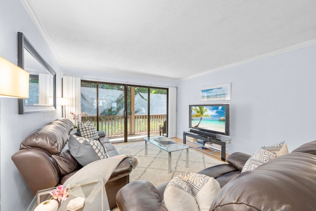 living room featuring crown molding, a textured ceiling, and light hardwood / wood-style floors