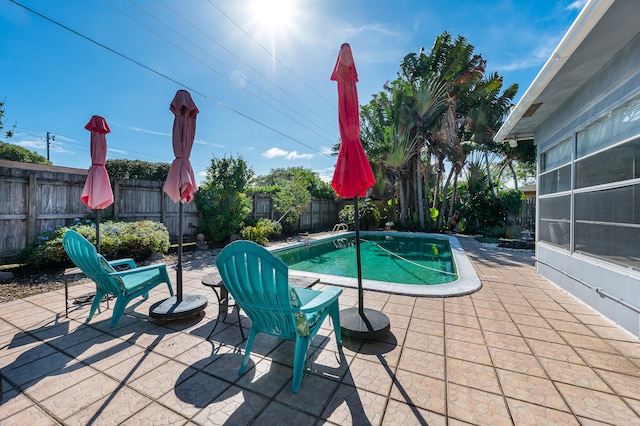 view of pool featuring a patio