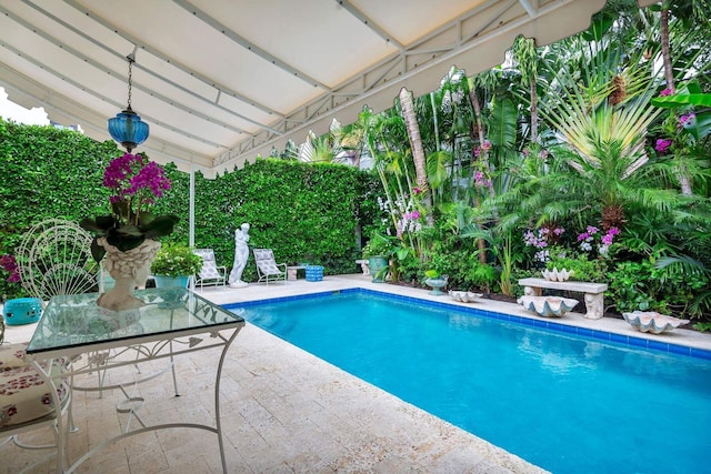 view of swimming pool with a patio area