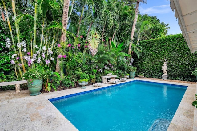 view of swimming pool