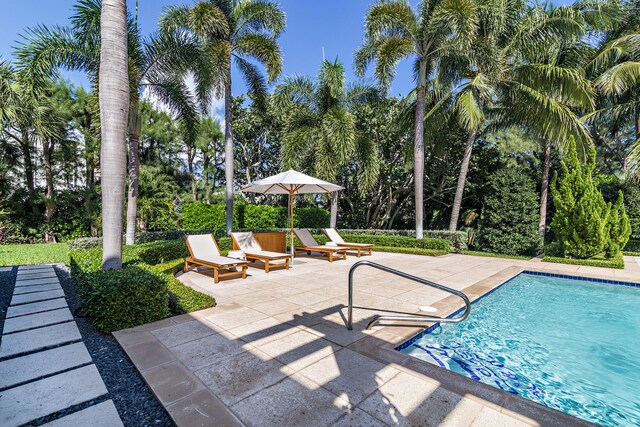 view of swimming pool featuring a patio