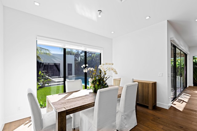 dining room featuring dark wood-type flooring