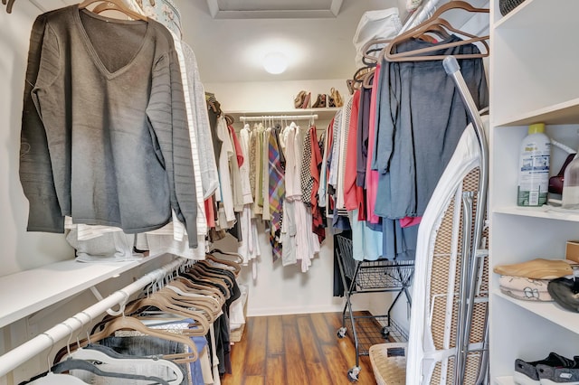 walk in closet with dark hardwood / wood-style floors