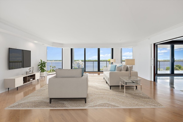 living room featuring light hardwood / wood-style floors, floor to ceiling windows, and ornamental molding