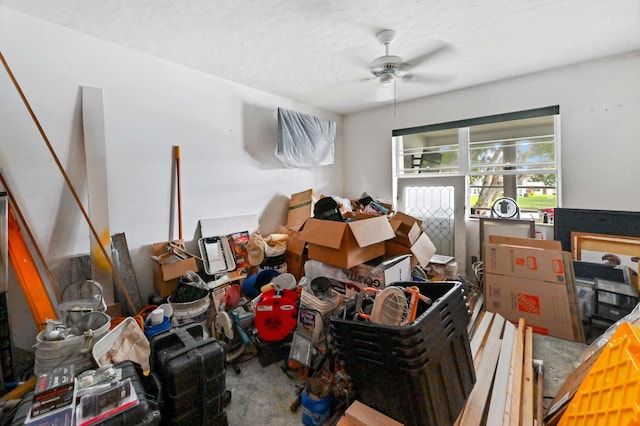 miscellaneous room with carpet floors, a textured ceiling, and ceiling fan