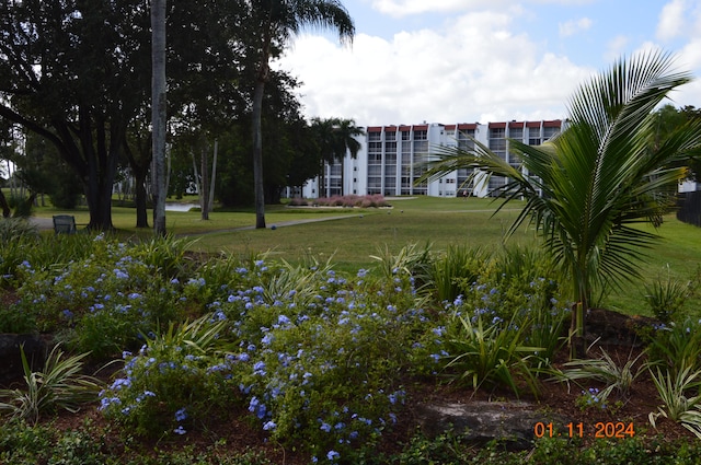 view of home's community featuring a yard