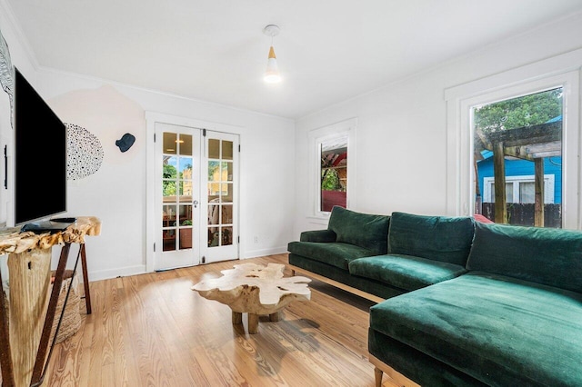 living room featuring ornamental molding and light hardwood / wood-style floors