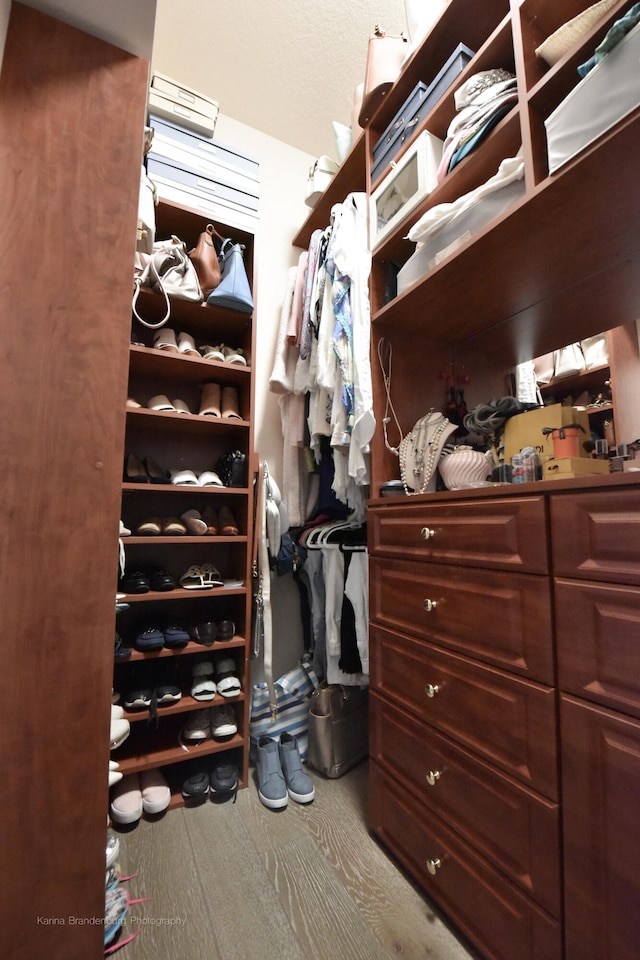 spacious closet with carpet