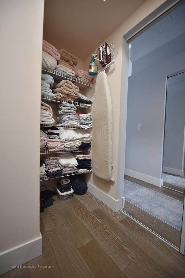 spacious closet featuring wood-type flooring