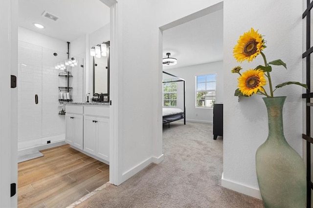 bathroom featuring vanity, wood-type flooring, and an enclosed shower