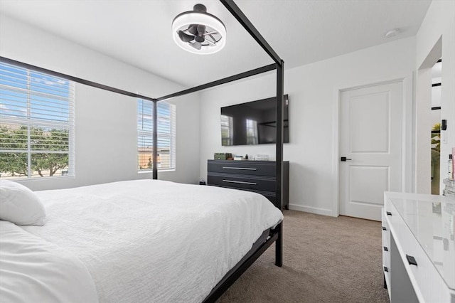 bedroom featuring multiple windows and carpet floors