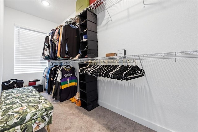 spacious closet featuring light carpet