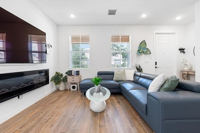 living room featuring hardwood / wood-style flooring