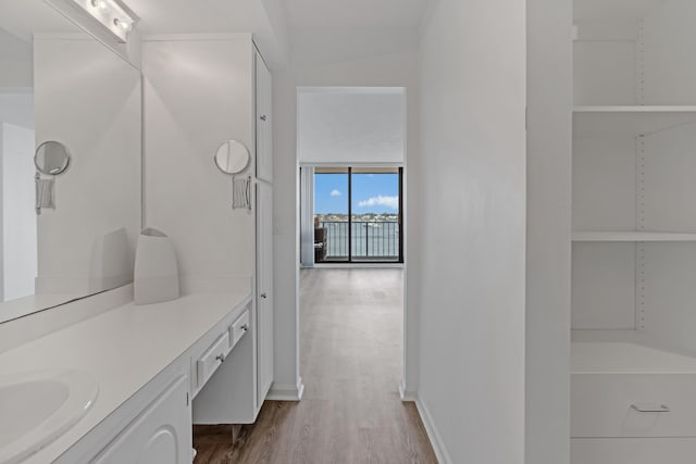 bathroom featuring vanity, wood-type flooring, and lofted ceiling