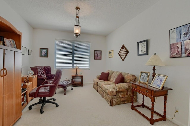 carpeted office space with a textured ceiling