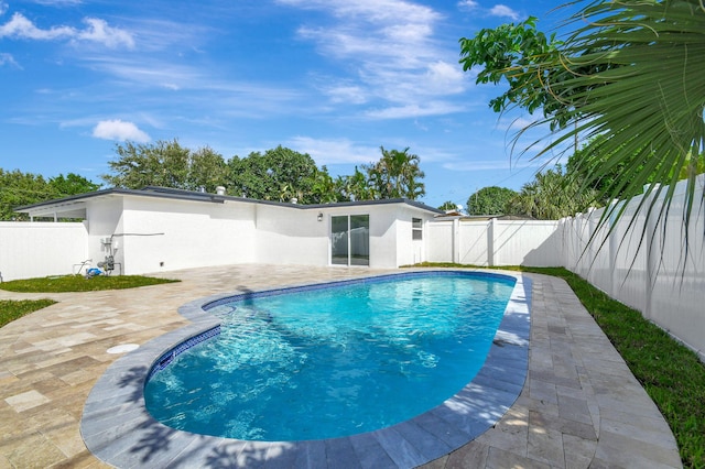 view of swimming pool with a patio