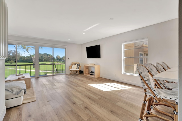 living room with light hardwood / wood-style floors and a healthy amount of sunlight