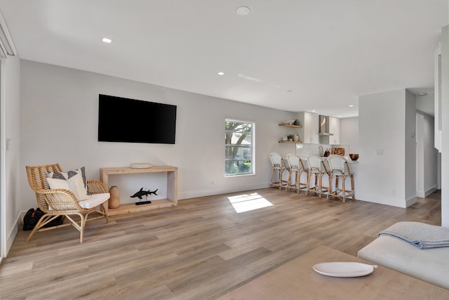 living room with light wood-type flooring