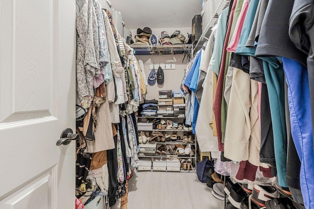 spacious closet featuring wood-type flooring