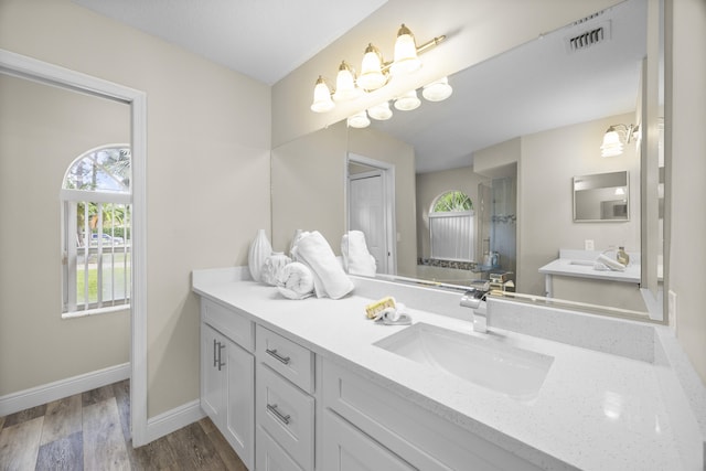 bathroom featuring vanity, wood-type flooring, and a healthy amount of sunlight