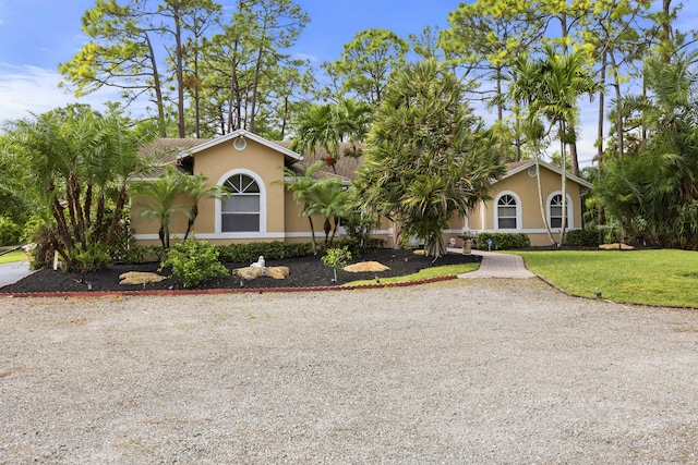 view of front facade with a front lawn