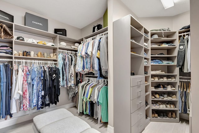 view of walk in closet