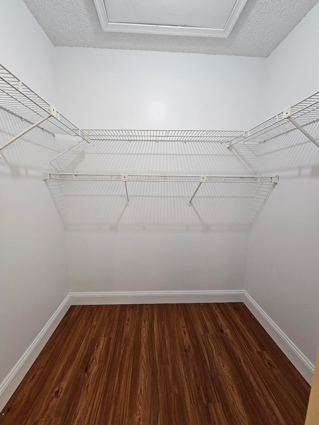 spacious closet with dark hardwood / wood-style flooring