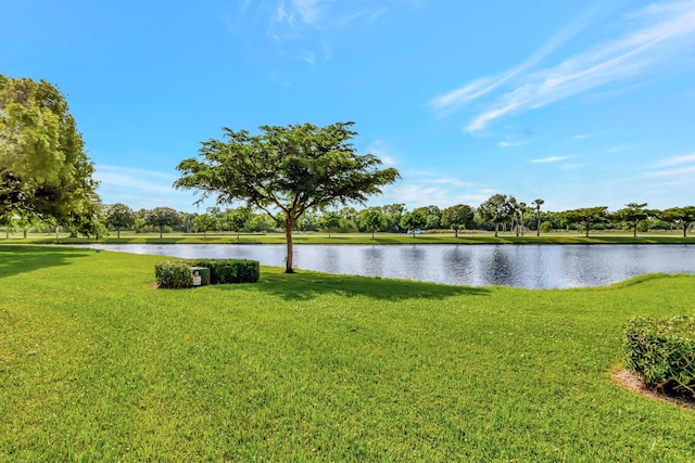 property view of water