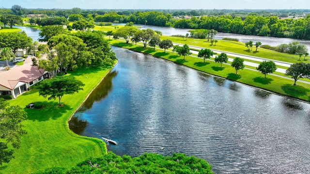 aerial view with a water view