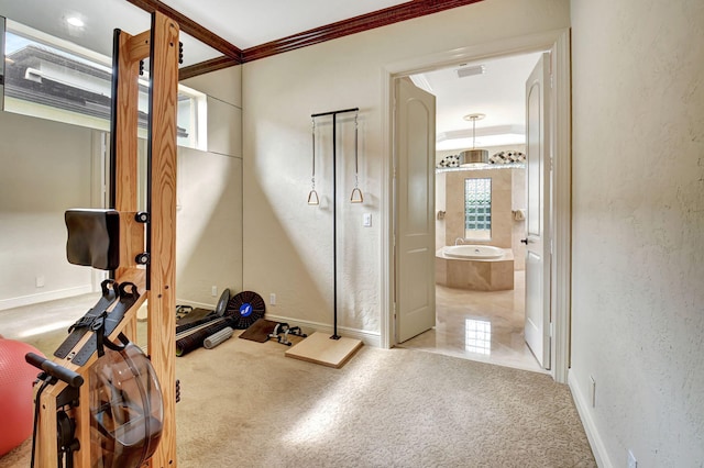 exercise room featuring crown molding and carpet floors