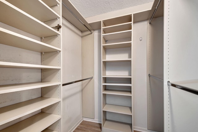 walk in closet featuring wood-type flooring