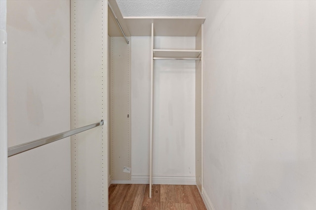 walk in closet with hardwood / wood-style flooring