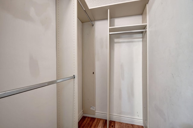 spacious closet with dark wood-type flooring