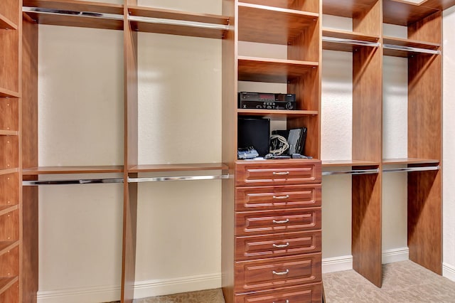 view of walk in closet