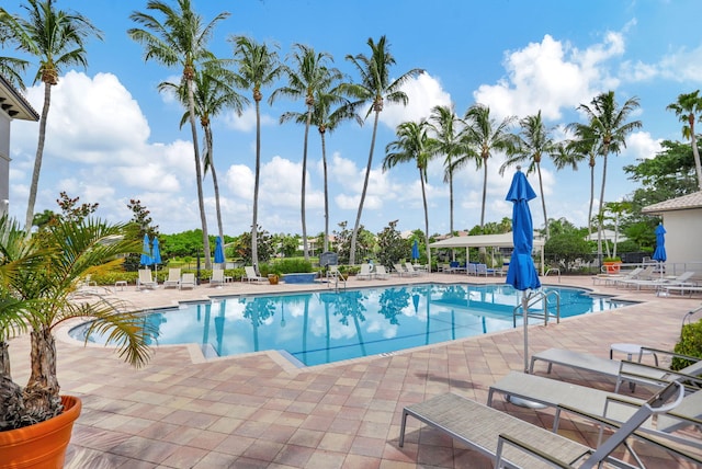 view of pool featuring a patio area