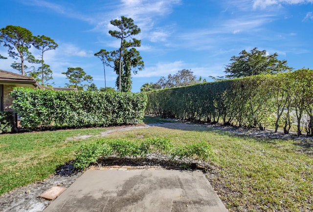 view of yard with a patio