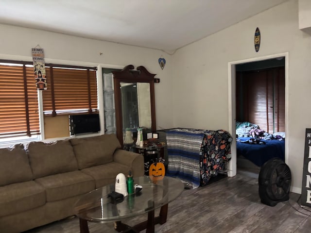 living room featuring lofted ceiling and wood-type flooring