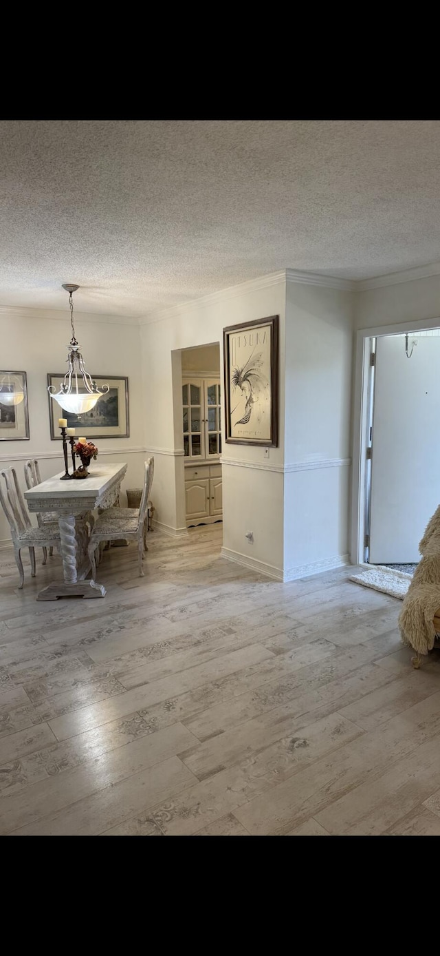 unfurnished dining area featuring crown molding, a textured ceiling, and light wood finished floors