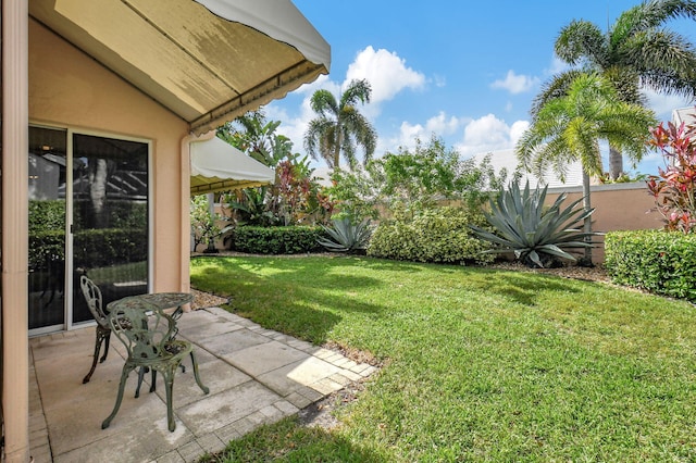 view of yard with a patio area