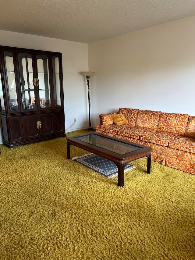 living room with a wealth of natural light, carpet, and a textured ceiling