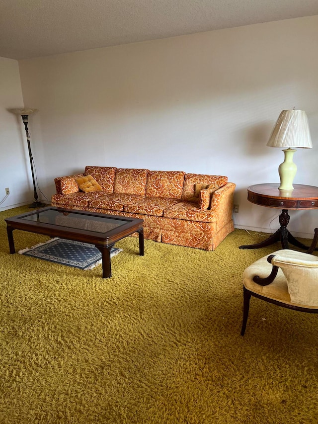 living room with a textured ceiling and carpet floors