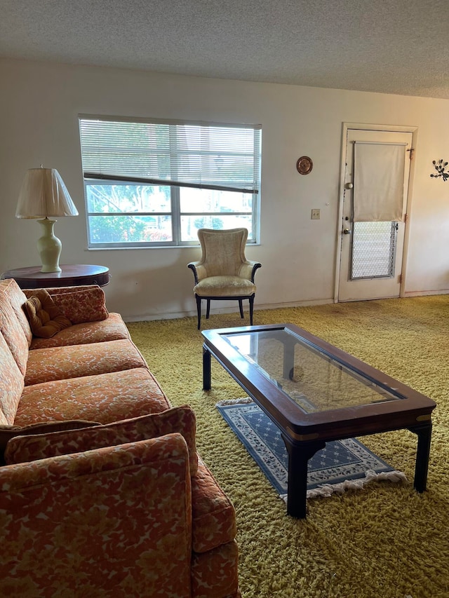 living room with a textured ceiling and carpet floors