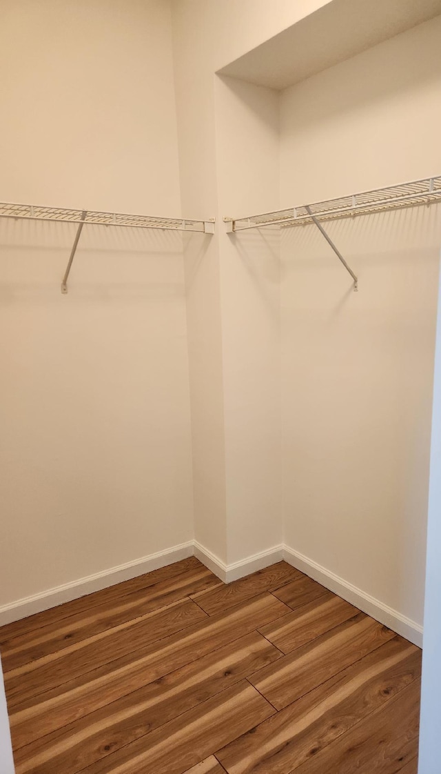 walk in closet with hardwood / wood-style flooring