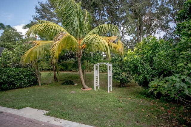 5353 Grand Banks Blvd, Greenacres, FL 33463 - view of yard